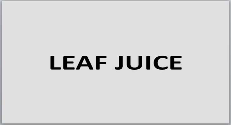 Leaf juice that will keep blood pressure normal
